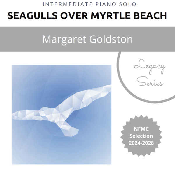 Seagulls over Myrtle Beach